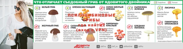 марки lsd Белокуриха