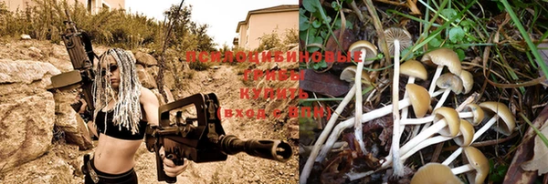 спайс Белоозёрский