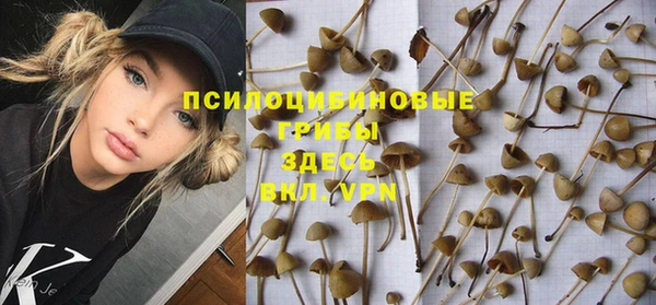 Альфа ПВП Беломорск