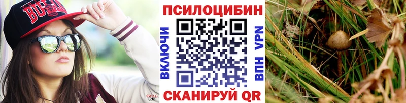 Купить где  Анадырь  Галлюциногенные грибы Psilocybe 